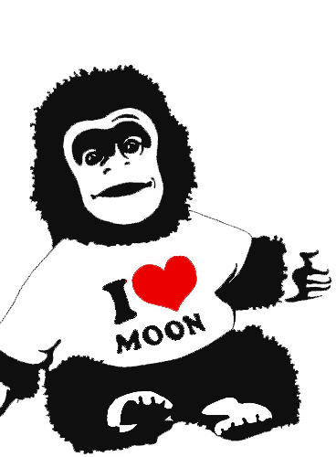 Sexy Boy